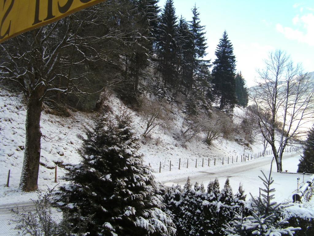 Paul-S Apartman Διαμέρισμα Bad Hofgastein Εξωτερικό φωτογραφία